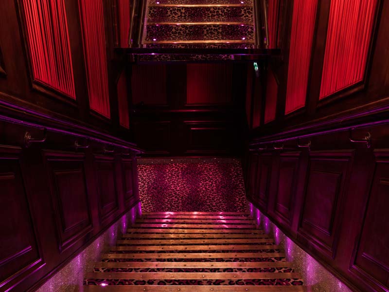 Pink Paradise_75008 PARIS 08_11 Pink Paradise_75008 PARIS 08_11